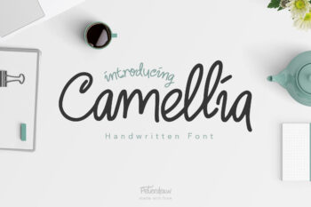 Camellia Beauty Monoline Font