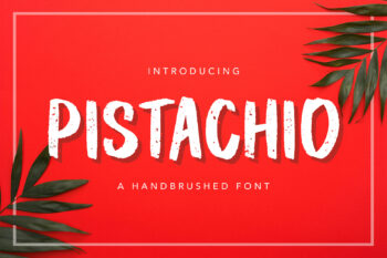 Pistachio Bold Hand-brushed Font