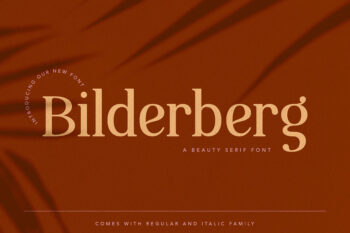 Bilderberg Contemporary Serif Font