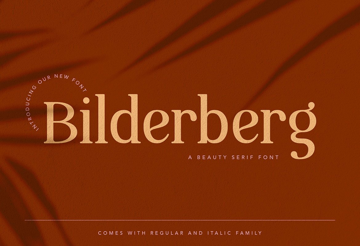 Bilderberg Contemporary Serif Font